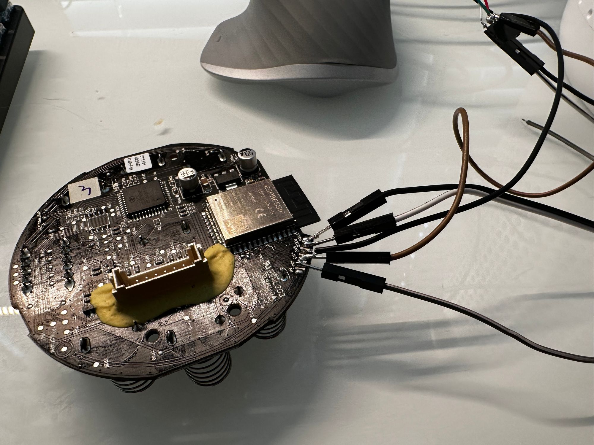 ESP32 module ready for flashing ESP Board